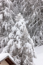 La Foux d'Allos
