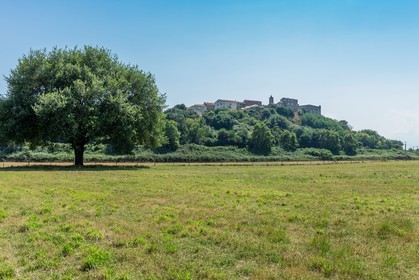 Aleria