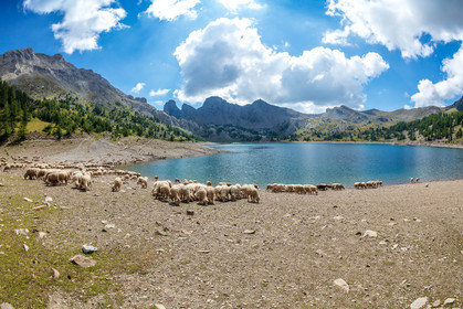 Lac d'Allos