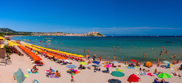 Calvi