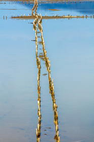 Salins d'Hyères