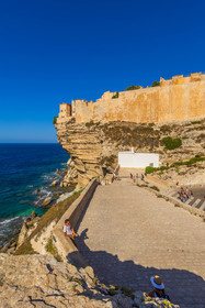 Bonifacio