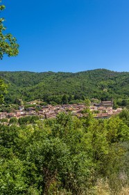 Collobrières