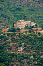 Pigna
