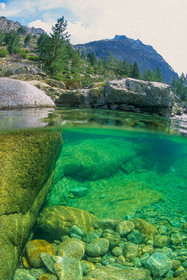 Restonica