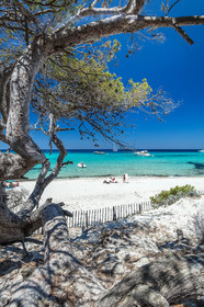 Saleccia