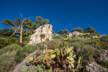 Roquebrune-Cap-Martin