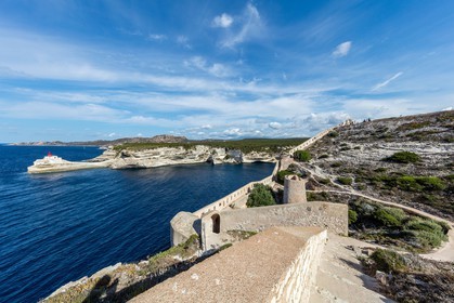 Bonifacio