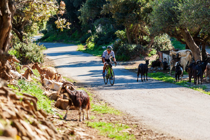 Bikingman Corsica 2019