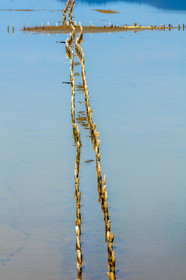 Salins d'Hyères