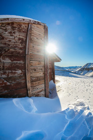 Auron