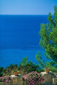 Rayol-Canadel-sur-Mer