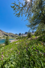 Lac d'Allos