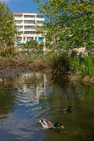 Park Exflora