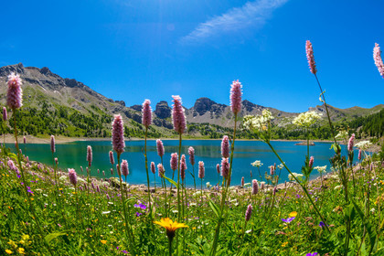 Lac d'Allos