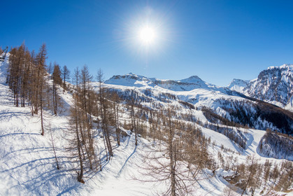 Auron