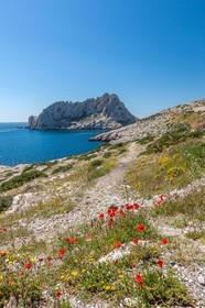 Marseille