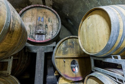 Vignoble corse