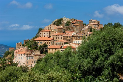 Belgodère