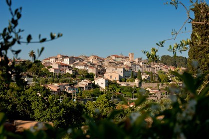 Biot