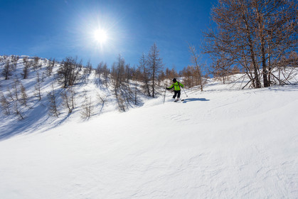 Freeride