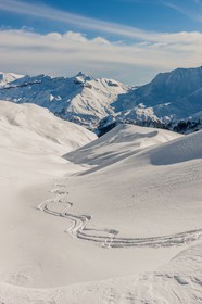 Auron