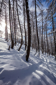 La Foux-d'Allos