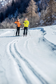 Ski de fond
