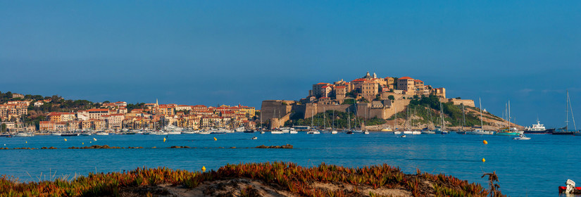 Calvi