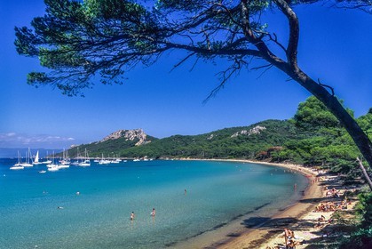 Porquerolles