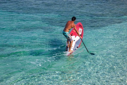Paddle