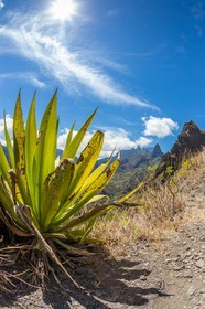 Ile de La Réunion