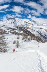 Auron