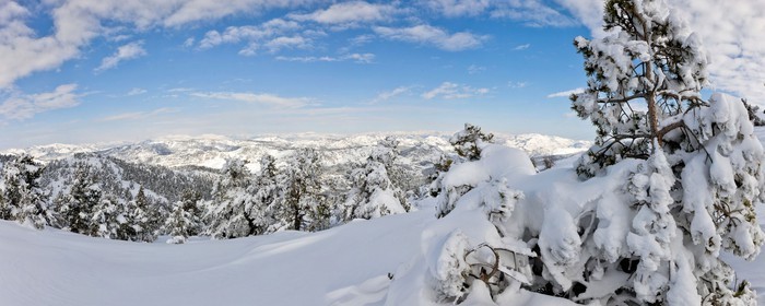 Paysage d'hiver