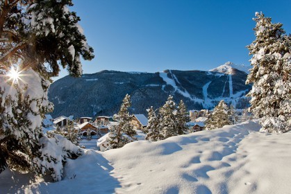 Auron