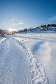 Ski de fond