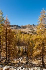 Isola 2000