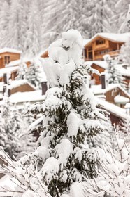 La Foux d'Allos