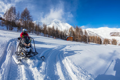 Skidoo