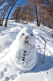 Bonhomme de neige