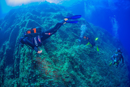 Plongée-sous-marine