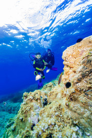 Plongée-sous-marine