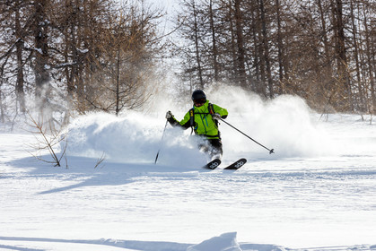 Freeride