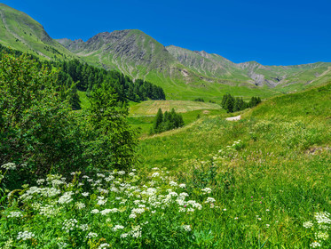 La Foux d'Allos