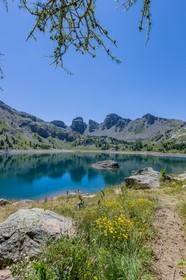 Rando Lac d'Allos