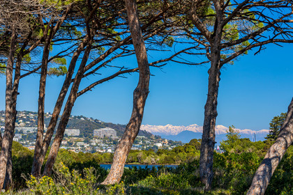Lérins Sainte-Marguerite