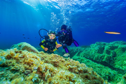Plongée-sous-marine