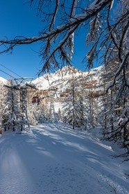 Isola 2000