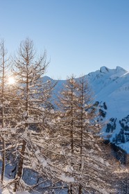 La Foux d'Allos