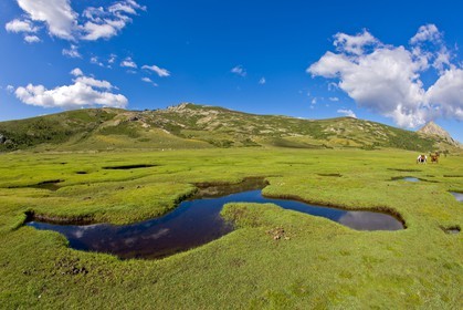 GR 20 Nord